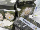 babycare金山茶花纸尿裤透气轻柔婴儿花苞裤尿不湿夏日尿布新老包装混发 山茶新生柔礼盒 60片 实拍图