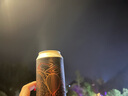 雪花高端吉庆礼盒装（脸谱8听＋匠心8听）两种口味送礼自饮 500mL 16罐 整箱装 实拍图