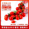 顺丰沙漠玲珑小番茄千禧圣女果新鲜小西红柿5斤装现摘釜山88现货W 5斤 实拍图