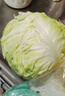京鲜生 圆白菜青甘蓝2斤 简装 新鲜蔬菜 实拍图