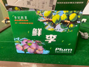 京喜加广西三华李中大果送椒盐粉生鲜水果新鲜现摘现发 广西三华李（中大果） 5斤（带箱）+椒盐粉 实拍图