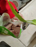 圣农鸡翅中净重2斤/袋 可乐鸡翅 大翅中 烤鸡翅 清真食品  烧烤食材 实拍图