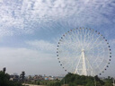 七匹狼男士皮带商务自动扣真牛皮裤腰带生日礼物送男友老公爸爸 实拍图