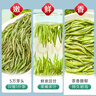 乐品乐茶雀舌绿茶茶叶2025新茶特级明前春茶嫩芽浓香型散装礼袋款共200g  实拍图