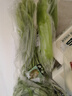  大芹菜约400g 实拍图