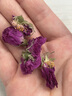 陈一凡 玫瑰花茶 精选平阴重瓣干玫瑰花冠无硫熏 一杯一朵泡水养生茶40g 实拍图
