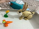 乐高（LEGO）积木拼装31162 可爱的兔子男孩女孩儿童玩具生日礼物 实拍图