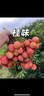 小米（MI）小米手环9 标准版黑色 智能手环 高精度运动健康 监测睡眠管理 心率血氧监测运动手环送男友送女友 实拍图