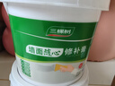 三棵树漆墙面修补膏耐水白墙面去污补墙面修复膏涂料裂缝墙皮脱落腻子粉膏 实拍图