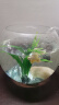 松宝（sobo）鱼缸增氧泵 养鱼氧气泵打氧机 小型家用充氧泵充氧机 AR-06单孔3W 实拍图