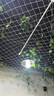 欧普照明（OPPLE）LED球泡E27螺口灯泡【12w-白光6500K】1只装 商用大功率光源 实拍图