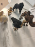 玛奇乐（MECHILE）仿真动物模型玩具大象大熊猫老虎河马犀牛狮子骆驼袋鼠斑马狼鳄鱼 北极熊 实拍图