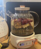 乐扣乐扣全玻璃养生壶电热水壶分体式烧水煮茶壶小花茶壶恒温加热保温迷你泡茶壶1L 实拍图
