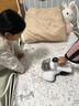 NIYEVN德国无线双杯除螨仪床宝家用床上沙发婴儿手持大吸力双拍紫外线吸尘除螨一体机器家电补贴 【旗舰升级】负离子净化丨99%杀菌率丨六重过滤 实拍图