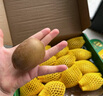 佳沛（zespri）新西兰  阳光金奇异果16粒礼盒经典果单果约 77-103g 水果 猕猴桃 实拍图
