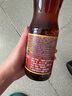 鲁花 食用油 物理压榨 芝麻香油（凉拌 调味 烹饪 火锅） 350ml 实拍图