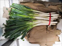山东章丘大葱新鲜10斤蘸酱卷饼铁杆大葱5斤脆葱非圆洋东北红葱头 含箱1斤 【12H现挖】带皮 实拍图