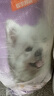 比瑞吉狗粮小型犬中大型犬爱不将就系列狗粮冻干三拼鸭肉梨通用犬粮10kg 实拍图