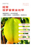 京鲜生越南进口菠萝蜜一整个净重8-10斤新鲜水果源头直发一件包邮 实拍图