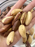 春江月新货巴西大鲍鱼果仁富硒原味坚果新疆沙漠果孕妇儿童干果含硒零食 【0添加富硒果仁】500g*1罐 实拍图