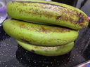 精品云南香蕉高山香蕉现摘新鲜水果甜生青香蕉banana自然熟绿皮 精品高山蕉 2斤 实拍图