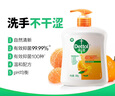 滴露（Dettol）洗手液柑橘500g瓶 健康抑菌消毒清爽 儿童家庭非补充装替换 实拍图