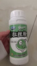 龙王恨鱼饵统爆系列钓鱼饵料拉丝粉磷虾粉鱼食鱼饵料黑坑野钓状态饵 统爆-拉丝粉【240克/1瓶】 实拍图
