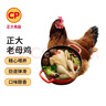 CP正大食品老母鸡2.8斤  冷冻 饲养500天 老母鸡 月子姨妈期煲汤  实拍图
