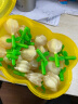 周十五益生菌蜂蜜露孕妇开塞蜜露待产包用孕产后哺乳期儿童蜜栓礼盒36支 实拍图