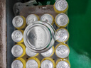 瓦伦丁（Wurenbacher）拉格啤酒500ml*24听 劲爽甘冽 整箱装 德国原装进口 苏超精酿啤酒 实拍图