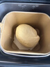 柏翠（petrus） 烤面包机家用全自动多功能小型早餐三明治吐司和揉面轻食机双管冰淇淋 PE9709 节日礼物 雅典蓝（ 咨询有大惊喜 ） 实拍图