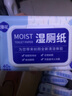 漫花湿厕纸家庭装洁厕湿巾男女清洁卫生湿纸巾 蓝色湿厕纸 40抽*10包 实拍图