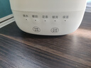 大宇【国家补贴】养生壶便携式烧水壶办公室小型mini花茶煮茶器一人养生杯家用多功能烧水壶防倾漏 0.3L 奶糖白丨一杯双饮+五大使用功能 实拍图