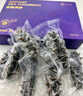 久年大连即食海参500g8-12只 辽刺参官方旗舰店京东自营 生鲜海鲜盒装 晒单实拍图