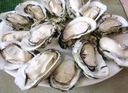 贝司令 鲜活乳山生态生蚝3XL 净重9斤 23-32只 生鲜源头直发 实拍图