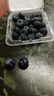 京鲜生 云南蓝莓 大果18mm+ 原箱12盒装 生鲜水果 实拍图