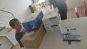 认养一头牛常温原味酸奶200g*20盒 儿童风味酸奶/生牛乳发酵 酸牛奶量贩装 实拍图