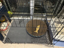 憨憨宠猫笼折叠猫笼子大号猫别墅加粗加密双层猫舍猫窝宠物猫咪用品家用 黑色 850双层 实拍图