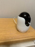 普联（TP-LINK）600万全彩智能摄像头家用无线 室内监控器360度全景夜视手机远程一键呼叫通话宝宝宠物看护IPC46DW 实拍图