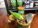 开元 加纳利子鹦鹉鸟食零食白尖栗牡丹虎皮玄凤金丝雀芙蓉黄雀粮食 实拍图