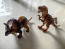 Wenno史前仿真恐龙玩具霸王龙玩具大号恐龙模型儿童恐龙认知过家家玩具 三角龙(Triceratops) 实拍图