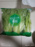 【高原夏菜】钟灵山罗马生菜400g 实拍图