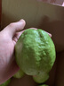 京鲜生 软糯奶油白心芭乐 净重3斤装单果150g+ 番石榴 源头直发包邮 实拍图