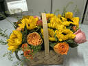 冉子花坊鲜花速递同城配送向日葵混搭抱抱桶玫瑰送女友爱人生日礼物真鲜花 阳光温暖 实拍图