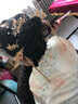 梦君宸汉服发冠女古风头饰全套古装古饰仙气造型流苏步摇假发发簪 模特同款九件套 实拍图