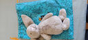Jellycat害羞乳白色邦尼兔动物毛绒玩偶安抚玩偶送礼娃娃生日新婚礼物 米色 Medium 实拍图