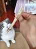 憨憨乐园木天蓼猫咪磨牙棒猫玩具自嗨解闷逗猫棒耐咬幼猫用品玩具养猫神器 实拍图