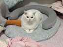 艾禾美（Arm&Hammer）铁锤猫砂黑盒蓝标28磅 实拍图