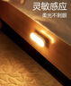 公牛（BULL）LED酷毙灯MC-A003E-DD床头衣柜条形小夜灯感应款5700K长100mm 实拍图