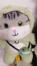 赟娅可爱猫咪玩偶睡觉抱公仔床上小猫仿真礼物变身猫咪女友朋友生日礼 变身恐龙喵-30厘米 圣诞新年礼物女生日礼物女孩女朋友节日礼物 实拍图